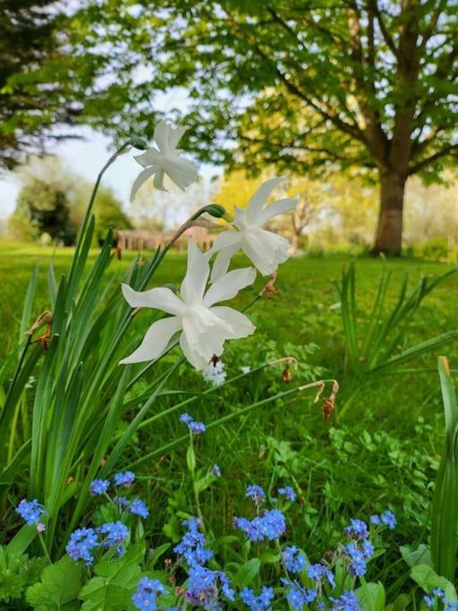Host & Stay - Clara Cottage Bretforton エクステリア 写真