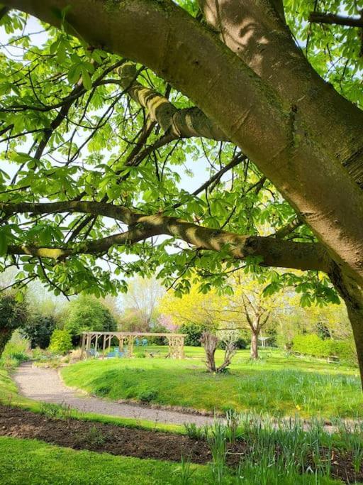Host & Stay - Clara Cottage Bretforton エクステリア 写真